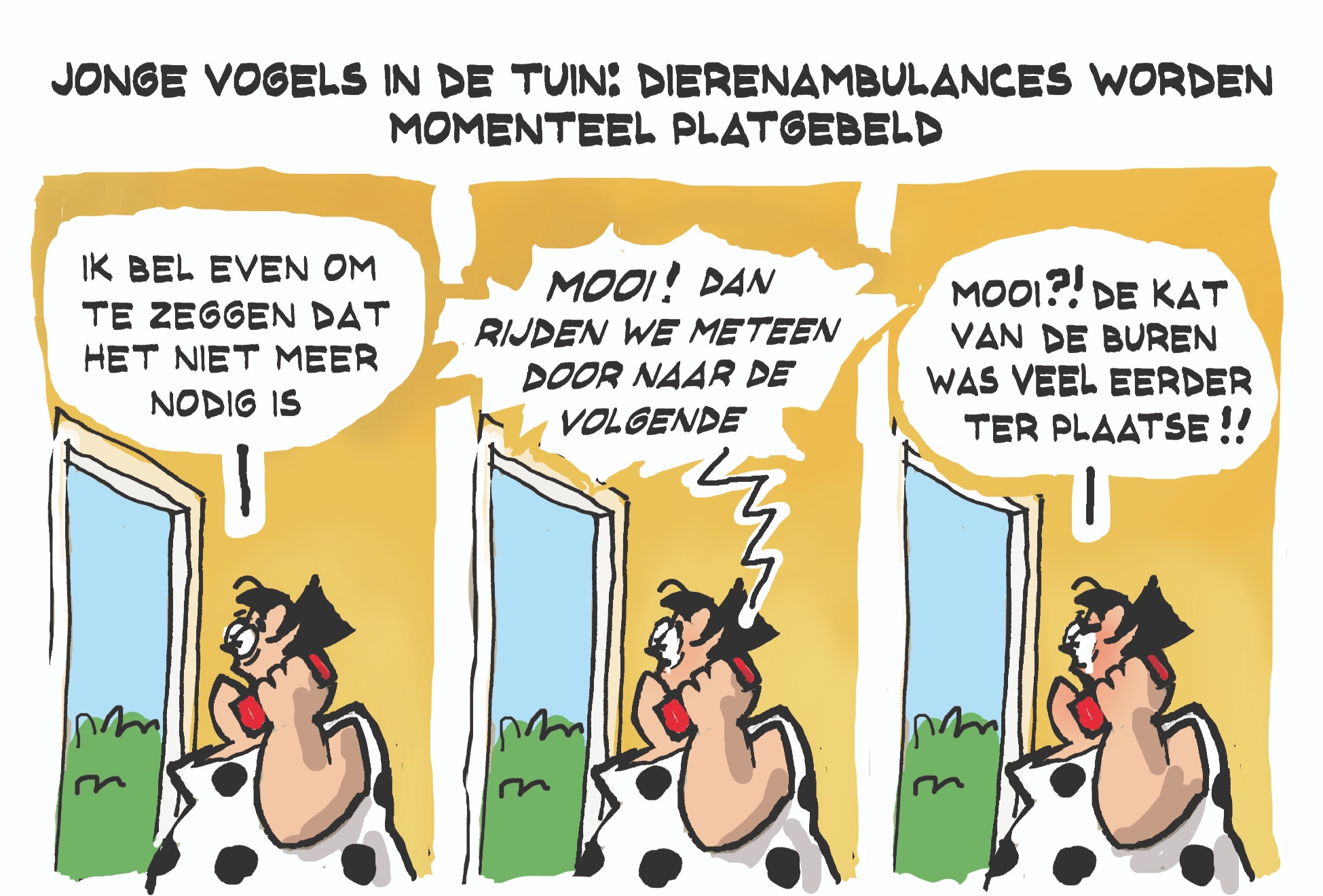 Cartoon woensdag 3 juni